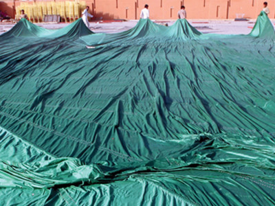 world cup semi final where will you be at 2pm world cup semi final where will you be at 2pm