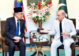 pm shehbaz orders roadmap to boost beef exports to malaysia pm shehbaz orders roadmap to boost beef exports to malaysia