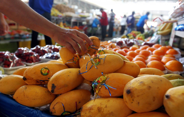 chinese consumers enjoy pakistani mangoes as 800 cartons arrive in china chinese consumers enjoy pakistani mangoes as 800 cartons arrive in china