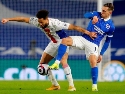 hodgson not interested in stats as palace stun brighton