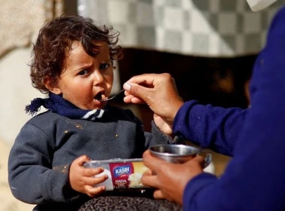 world food program halts distribution in northern gaza until safety improves