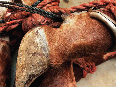 taking the cake taking the cake