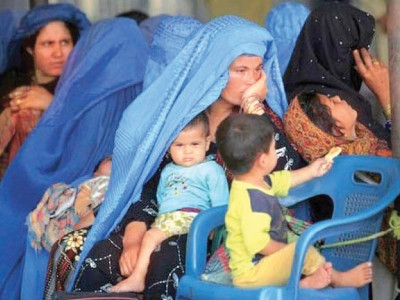unhcr urges government to help afghan refugees