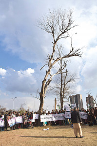 protest for salmaan taseer their numbers may be small but their message is big protest for salmaan taseer their numbers may be small but their message is big
