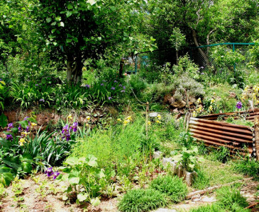 gardening with chemicals name your poison gardening with chemicals name your poison