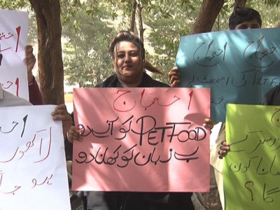 pet owners retailers slam ban on animal food import