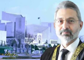 petitions face delays amid tribunal inactivity