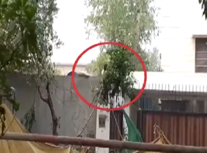 who attacked police if bushra bibi was alone at zaman park asks maryam who attacked police if bushra bibi was alone at zaman park asks maryam