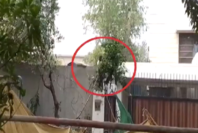 pml n leader maryam nawaz accuses pti chief of housing terrorists at his residence in lahore screengrab maryamnsharif pml n leader maryam nawaz accuses pti chief of housing terrorists at his residence in lahore screengrab maryamnsharif