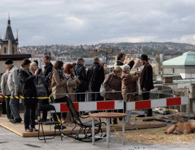 of vengeful counts and captains