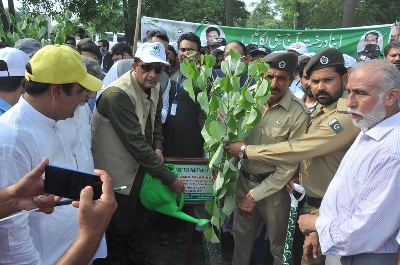 sapm on climate change malik amin aslam plants a sapling on the sidelines of the one minute highest world plantation event in gujranwala held on august 12 2021 photo twiter climatechangepk