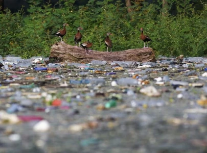 waste overwhelms tourist spot