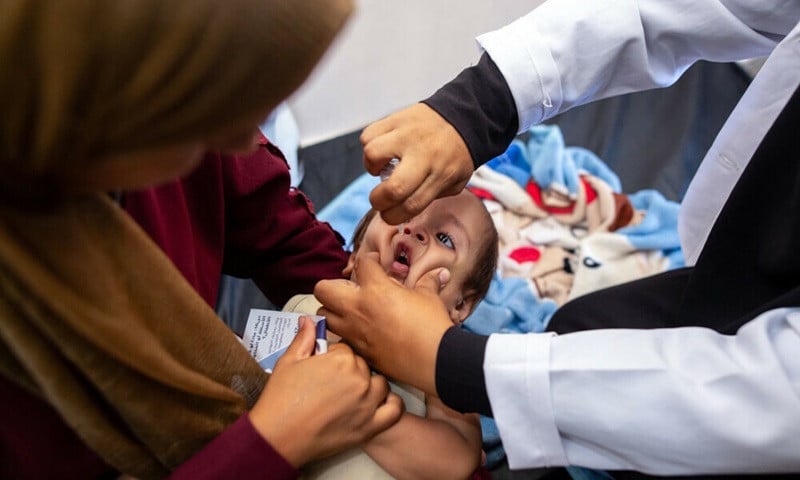 a nurse administers polio vaccine drops to a young palestinian patient at the nasser hospital in khan yunis in the southern gaza strip on august 31 2024 photo afp