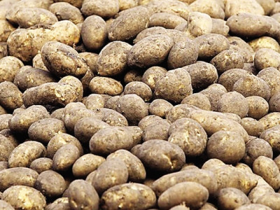 delay in potato exports to russia delay in potato exports to russia
