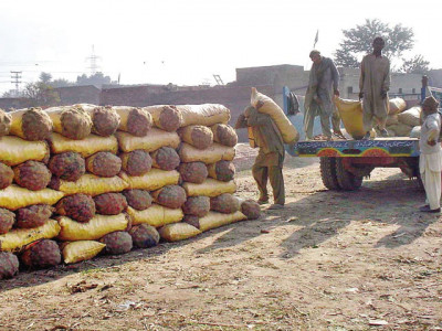 russia interested in importing potatoes from pakistan