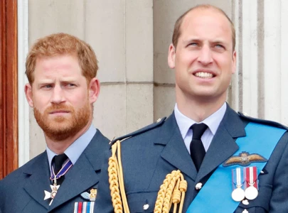 talks between uk s prince harry and brother william not productive