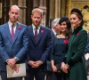 prince william unlikely to strip harry and meghan of royal titles soon prince william unlikely to strip harry and meghan of royal titles soon