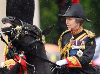 princess anne addresses memory loss following horse related incident princess anne addresses memory loss following horse related incident