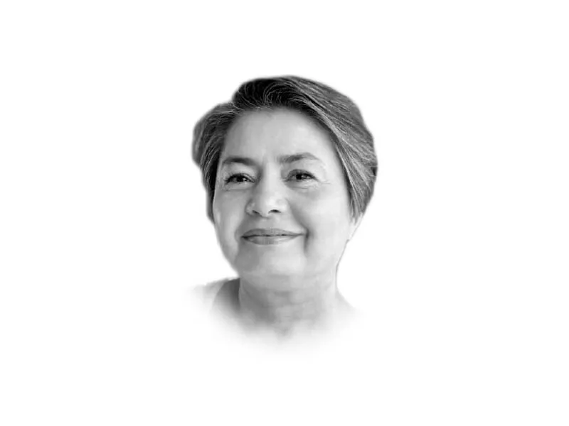 the writer is the vice chancellor of the university of home economics she can be reached at vc uhe edu pk and kanwal ameen gmail com the writer is the vice chancellor of the university of home economics she can be reached at vc uhe edu pk and kanwal ameen gmail com