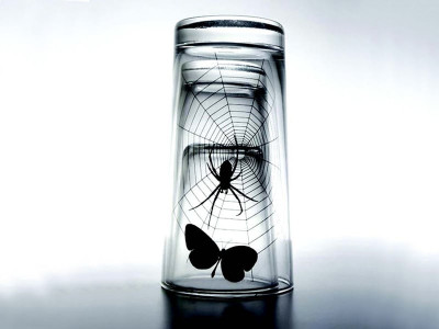 farewell to the mundane mr p invades islamabad