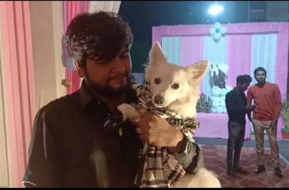 watch indians arrested for covid rule breaking puppy party watch indians arrested for covid rule breaking puppy party