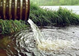 millions of gallons of rainwater go to waste millions of gallons of rainwater go to waste