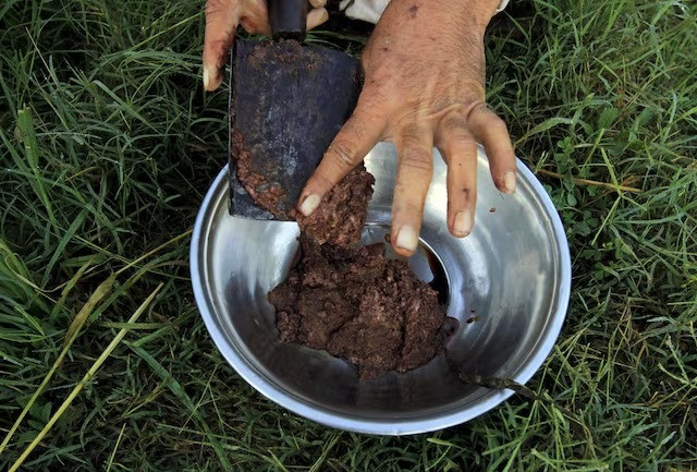 raw opium from a poppy head is seen at a poppy farmer s field on the outskirts of jalalabad april 28 2015 photo reuters raw opium from a poppy head is seen at a poppy farmer s field on the outskirts of jalalabad april 28 2015 photo reuters