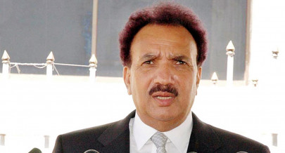 bin laden killing only foreign office can comment says rehman malik
