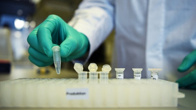soil analysis to help improve fertility soil analysis to help improve fertility