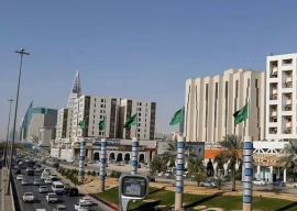 pakistan to send manpower to saudi arabia other gulf countries