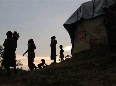 bangladesh urges un to aid voluntary return of rohingya refugees
