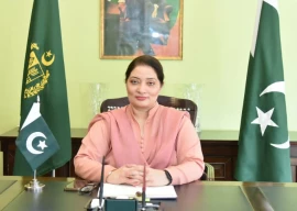 carbon markets can save 250b