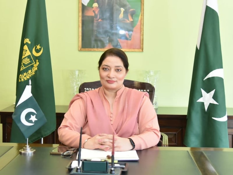 ‘Pakistan committed to ozone protection efforts’