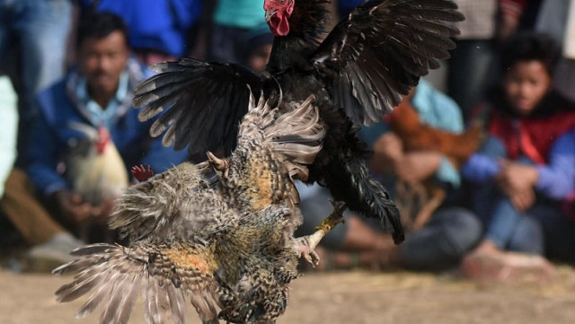 photo afp file photo afp file
