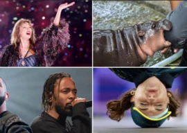 2024 a viral roundup