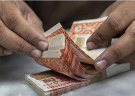 pakistan seeks uk advice for economic plan