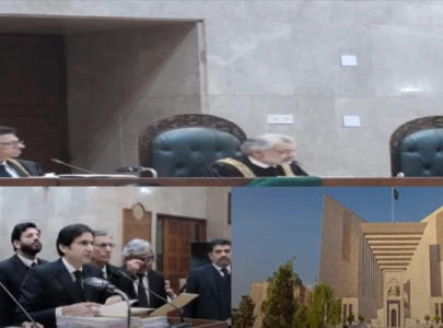 sc rebukes pti attorney for political speech