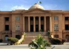 politically motivated terminations challenged in shc politically motivated terminations challenged in shc