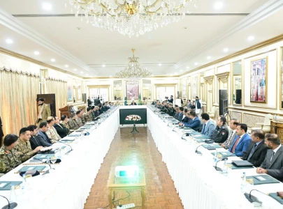 sifc initiatives poised to yield dividends pm