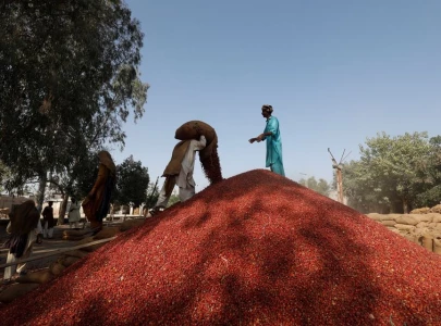 govt decides to ratify ilo labour convention