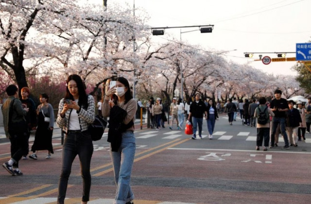 people walk near blooming cherry blossoms in seoul south korea april 2 2023 reuters kim soo hyeon file photo