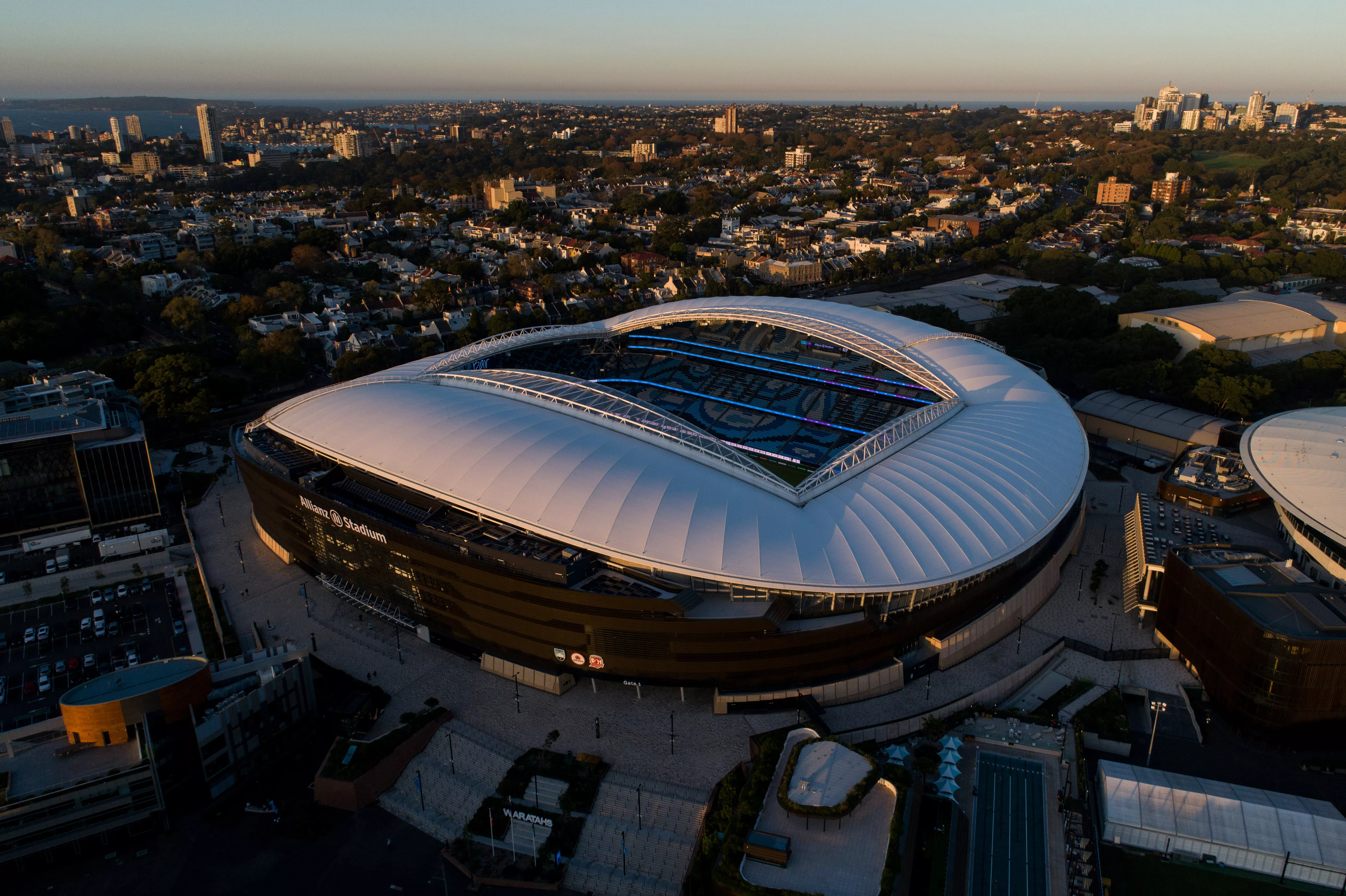 tribune tribune