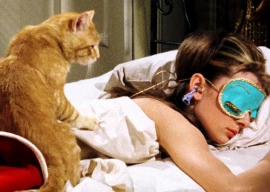 four films four felines hollywood hits that wouldn t be the same without cats