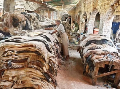 k p bans collection of hides without noc k p bans collection of hides without noc
