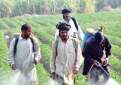 sales tax on fertilisers to be catastrophic