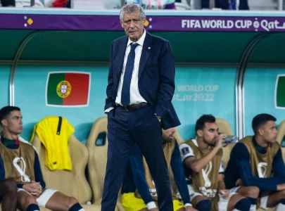santos quits as portugal coach