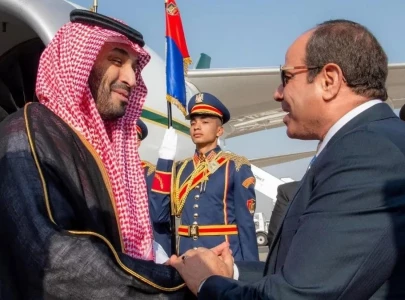 saudi arabia egypt agree deeper investment ties urge gaza truce saudi arabia egypt agree deeper investment ties urge gaza truce