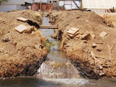 factory dumping creates deadly swamp factory dumping creates deadly swamp
