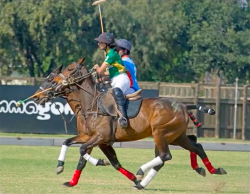 Pakistan polo team qualifies for world championship