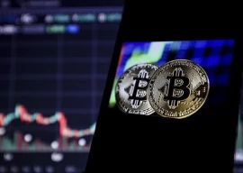 us presidential vote to be impacted by crypto views report finds